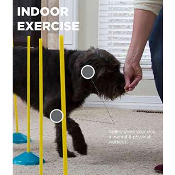 Agility Training Kit for Small Dogs Indoor Fun