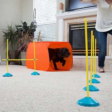 Agility Training Kit for Small Dogs Indoor Fun