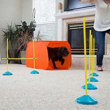 Agility Training Kit for Small Dogs Indoor Fun