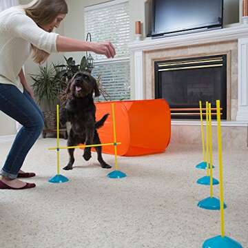 Agility Training Kit for Small Dogs Indoor Fun