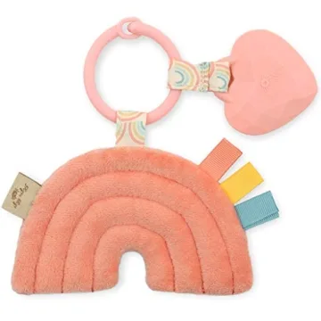 Itzy Pal Baby Teething Toy with Lovey and Crinkle Sound