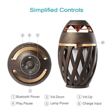 DIKAOU Portable Bluetooth Speaker Lamp with Flame Effect