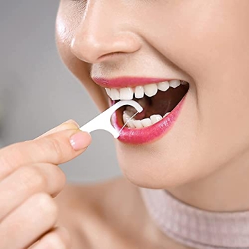 Holy Rose Floss Picks Dispenser - Portable Tooth Care Solution