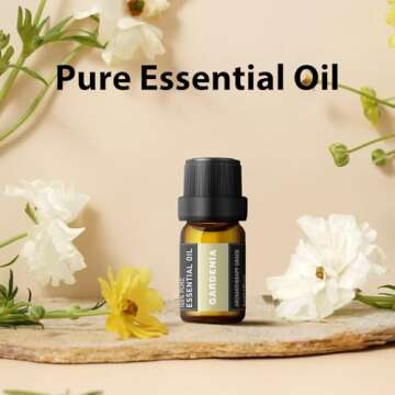 36 x 5 ML Pure Essential Oils Set for Aromatherapy