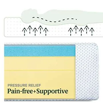 Zinus 12 Inch Green Tea Cooling Memory Foam Mattress, Queen