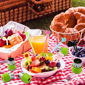 Patelai 78 Pcs Fun Food Picks & Cutters Set for Kids