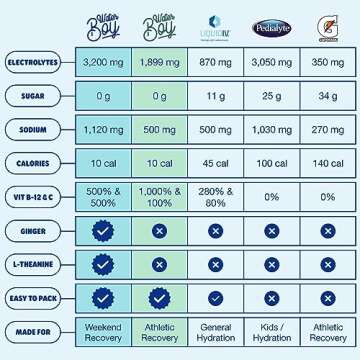 Waterboy Weekend Recovery | 3,200mg Electrolyte Powder Packets | Ginger + L-Theanine + Vitamins | No...
