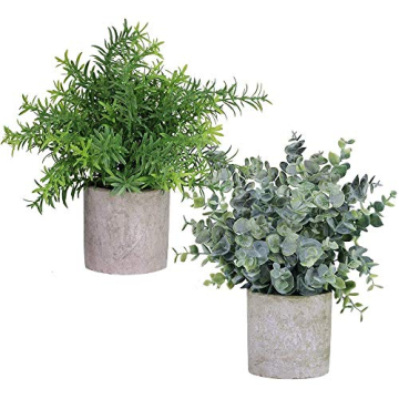 Winlyn Faux Eucalyptus & Rosemary Potted Plants Set