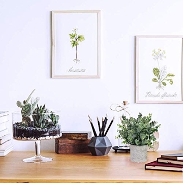 Winlyn Faux Eucalyptus & Rosemary Potted Plants Set