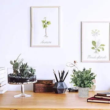 Winlyn Faux Eucalyptus & Rosemary Potted Plants Set