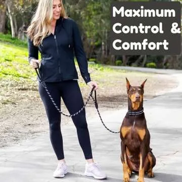 Roam Gear 6 Foot Dog Leash, Padded Handles, Heavy Duty, Reflective