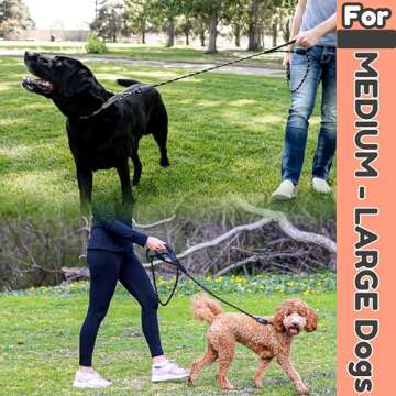 Heavy Duty 6 Foot Dog Leash with Padded Handles