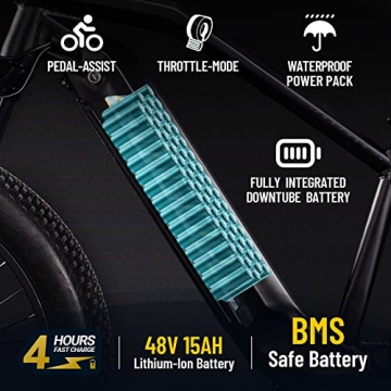 GOGOAL PANTHER F2 750W Electric Mountain Bike for Adults