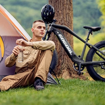 GOGOAL PANTHER F2 750W Electric Mountain Bike for Adults