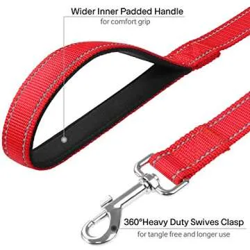FunTags Reflective Dog Leash with Padded Handle