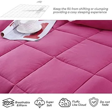 EvJk Pink Down Alternative Comforter Queen Size