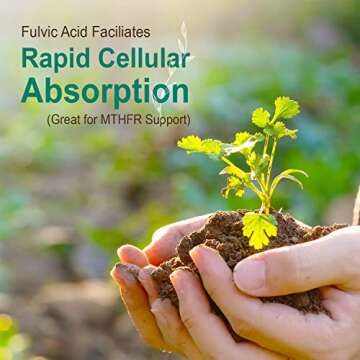 Vital Earth Minerals Super Multi 2-Pack – Liquid Multivitamins for Women, Men & Kids, Liquid Vitamins with Fulvic Acid for Better Absorption, MTHFR Support, 32 Oz Ea + 1 Oz Cup