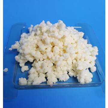 Kefir Fermenter for Quick Homemade Kefir with Extra Grains