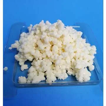 Kefir Fermenter for Quick Homemade Kefir with Extra Grains