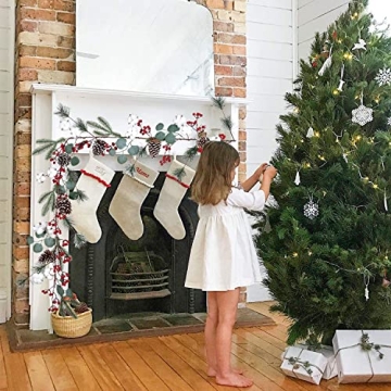 DearHouse 6Ft Berry Christmas Garland with Pinecones