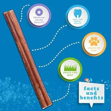 Jack&Pup Premium Thin Dog Bully Sticks 6 inch Bully Sticks for Dogs, (10 Pack) Healthy Dog Treats Bully Sticks Odor Free Bully Sticks for Small Dogs - 100% Beef Dog Chews, Pizzle Chew Sticks for Dogs