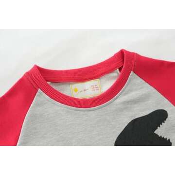 Little Hand Toddler Boys Valentine's Day Outfits Dinosaur Sweatshirt Pullover Long Sleeve Shirts 6t