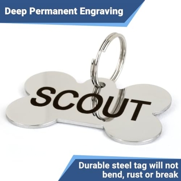 Personalized Stainless Steel Pet ID Tags for Dogs and Cats