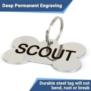 Personalized Stainless Steel Pet ID Tags for Dogs and Cats