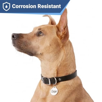 Personalized Stainless Steel Pet ID Tags for Dogs and Cats