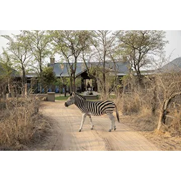 Exceptional African Camps and Lodges Guidebook