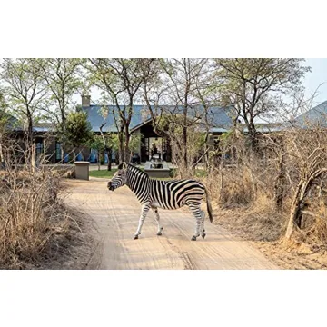 Exceptional African Camps and Lodges Guidebook