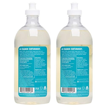 Better Life Dish Soap - Natural & Non-Toxic 22oz