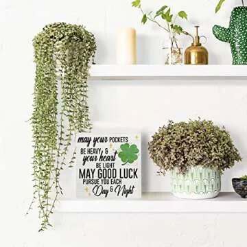 Funny St Patricks Day Wooden Box Sign for Home Decor