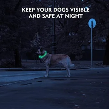 NOVKIN LED Dog Collar for Night Safety and Visibility