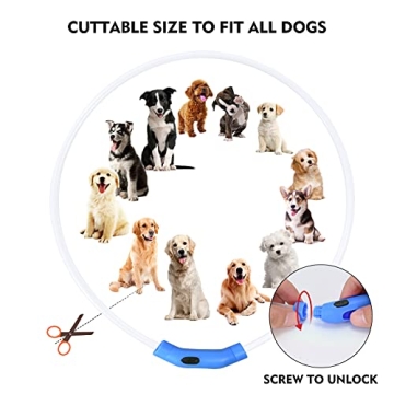 NOVKIN LED Dog Collar for Night Safety and Visibility