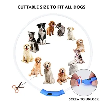 NOVKIN LED Dog Collar for Night Safety and Visibility