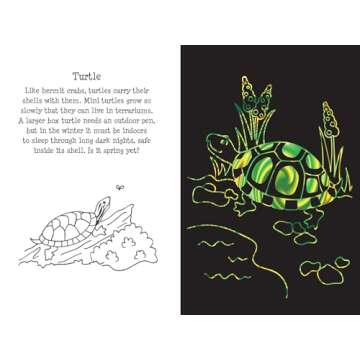 Scratch and Sketch Pet Shop | Fun Art Book for Kids