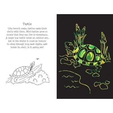 Scratch and Sketch Pet Shop | Fun Art Book for Kids