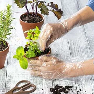 Comfy Package [500 Count Disposable Poly Plastic Gloves for Cooking, Food Prep, and Food Service, Latex & Powder Free - One Size Fits Most