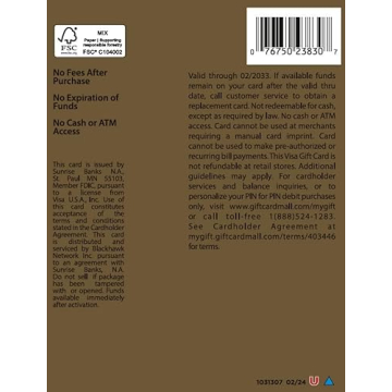 Visa $100 Gift Card for Perfect Gifting Solution