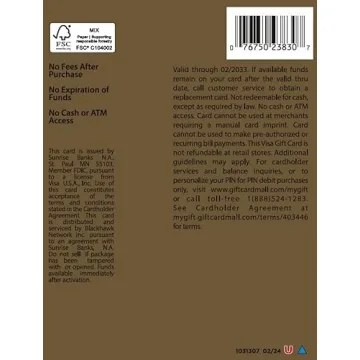 Visa $100 Gift Card for Perfect Gifting Solution