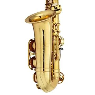 Jean Paul AS-400 Alto Saxophone for All Musicians