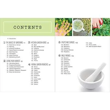 Backyard Pharmacy: Plants as Medicine - Plant, Grow, Harvest, and Heal