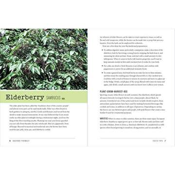 Backyard Pharmacy - Grow Medicinal Plants at Home