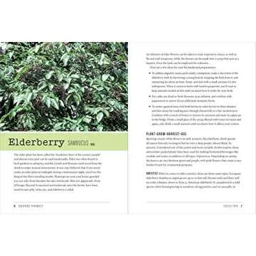 Backyard Pharmacy - Grow Medicinal Plants at Home