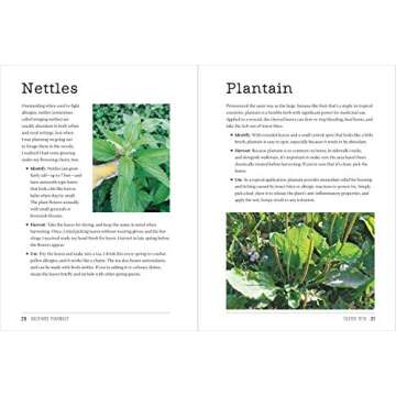 Backyard Pharmacy - Grow Medicinal Plants at Home