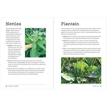 Backyard Pharmacy - Grow Medicinal Plants at Home