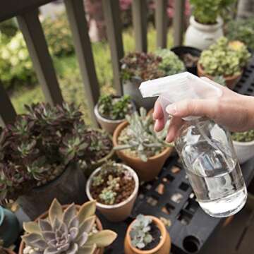 Youngever 4 Pack Empty Glass Spray Bottle, 8 Ounce Clear Glass Spray Bottle for Essential Oils with Extra Durable Trigger Sprayers