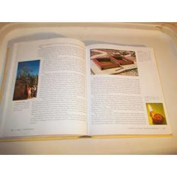 The Promise and the Blessing: A Historical Survey of the Old and New Testaments