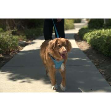 K9 Ballistics Adjustable Dog Harness for Large Breeds